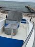 Ryds 488 Sport med 50hk Mercury