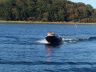 SeaExplorer 390